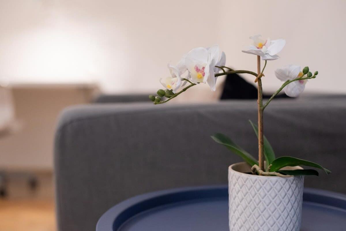 Apartmán Comfortable And Quiet *
